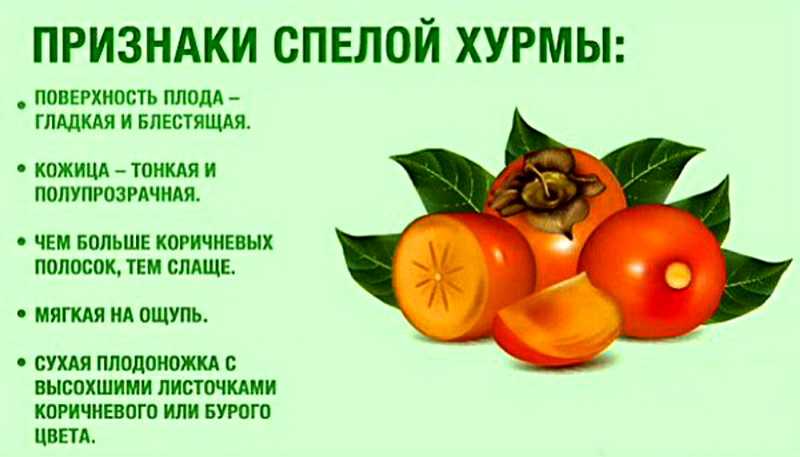 Как правильно есть хурму – с кожурой или без?