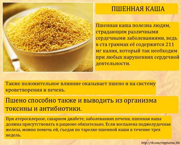Пшенная каша: польза и вред для человека