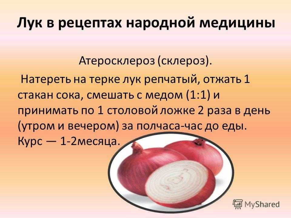 Репчатый и зеленый лук: польза и вред для здоровья