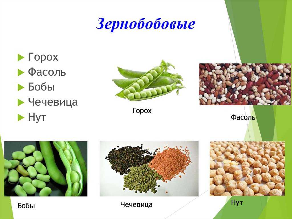 8 секретов приготовления бобовых