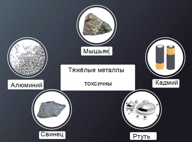 Опасная еда: тяжелые металлы