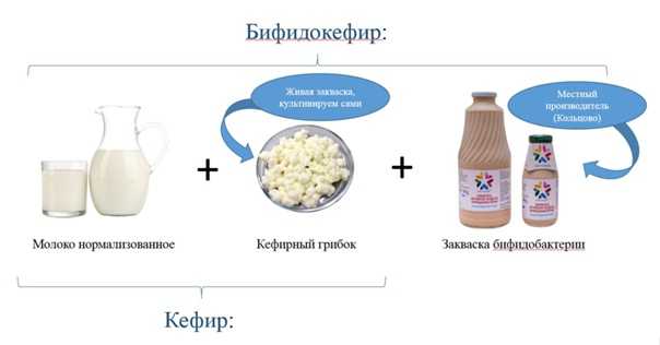Что полезнее – ряженка или кефир, чем отличаются продукты