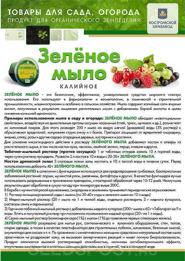 Аммиак - применение на огороде для подкормки и защиты от вредителей