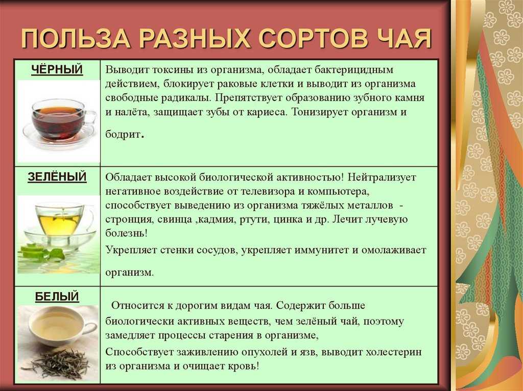 Какой чай полезней для здоровья-черный, белый или зеленый?