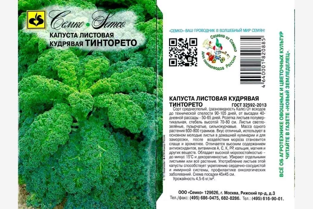 Капуста кейл: полезные свойства