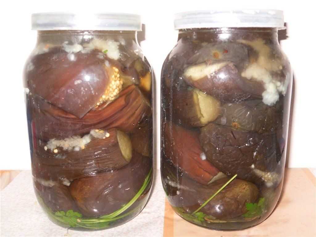 Маринованные баклажаны быстрого приготовления – самые вкусные рецепты