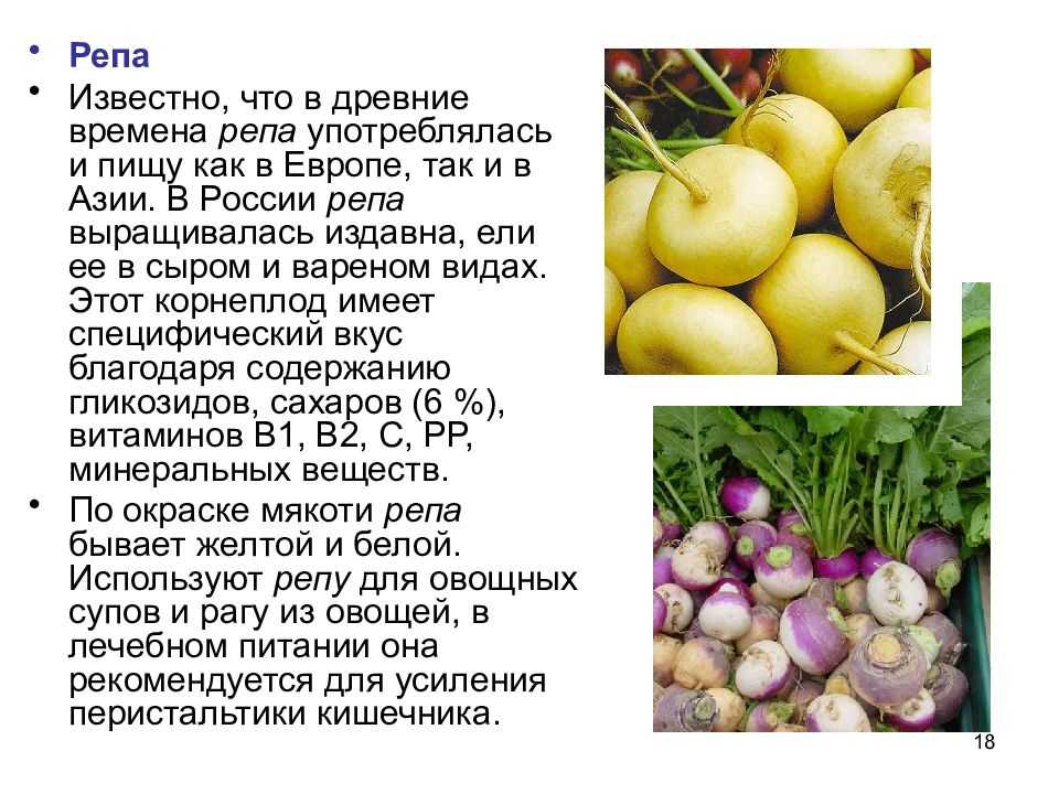Выращивание репы и брюквы — floraprice.ru