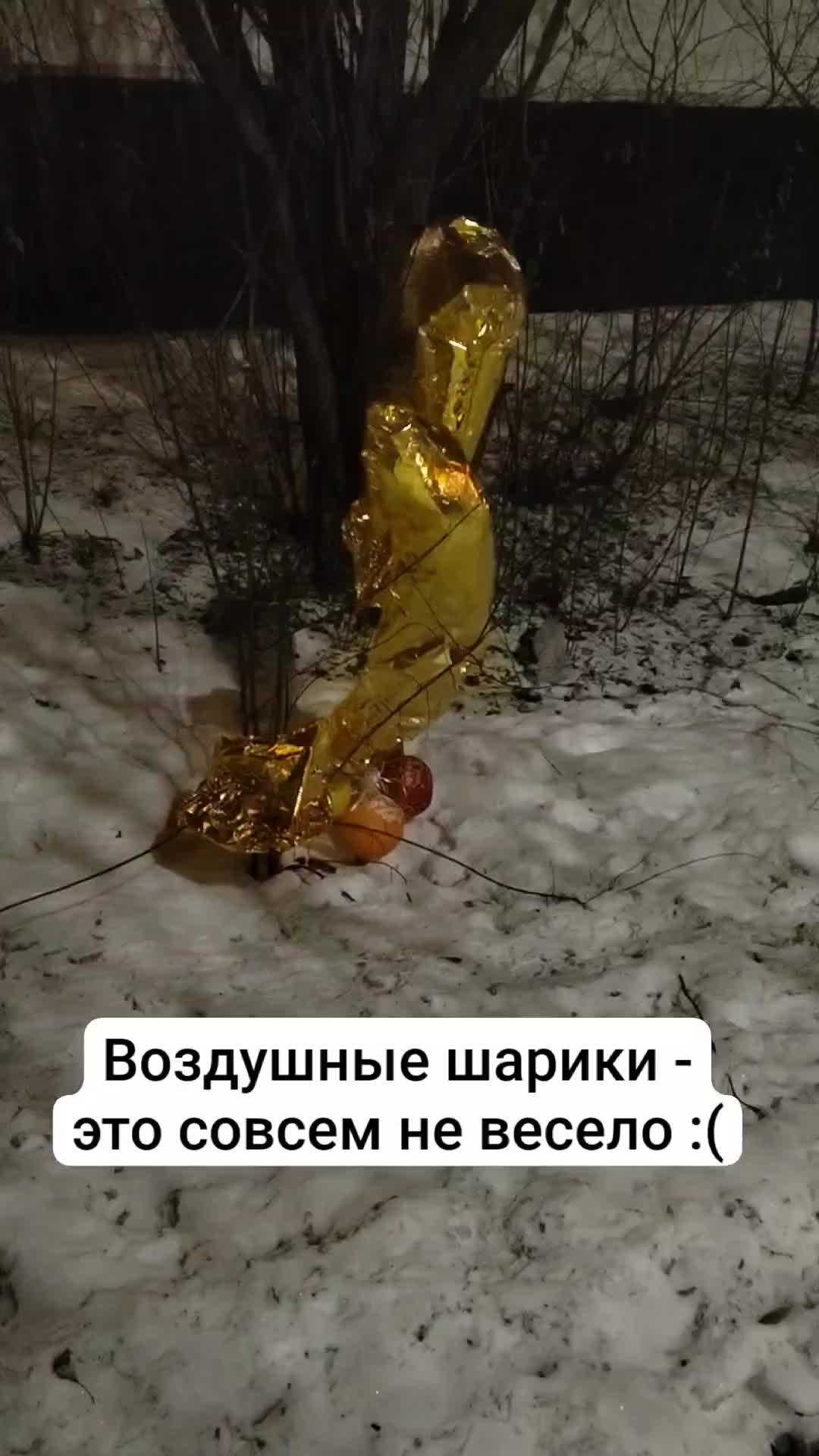Роман Киселев шеф повар рассказал Натур Продукту об экологическом обучении, бережном отношении к продуктам и экологизации ресторанов