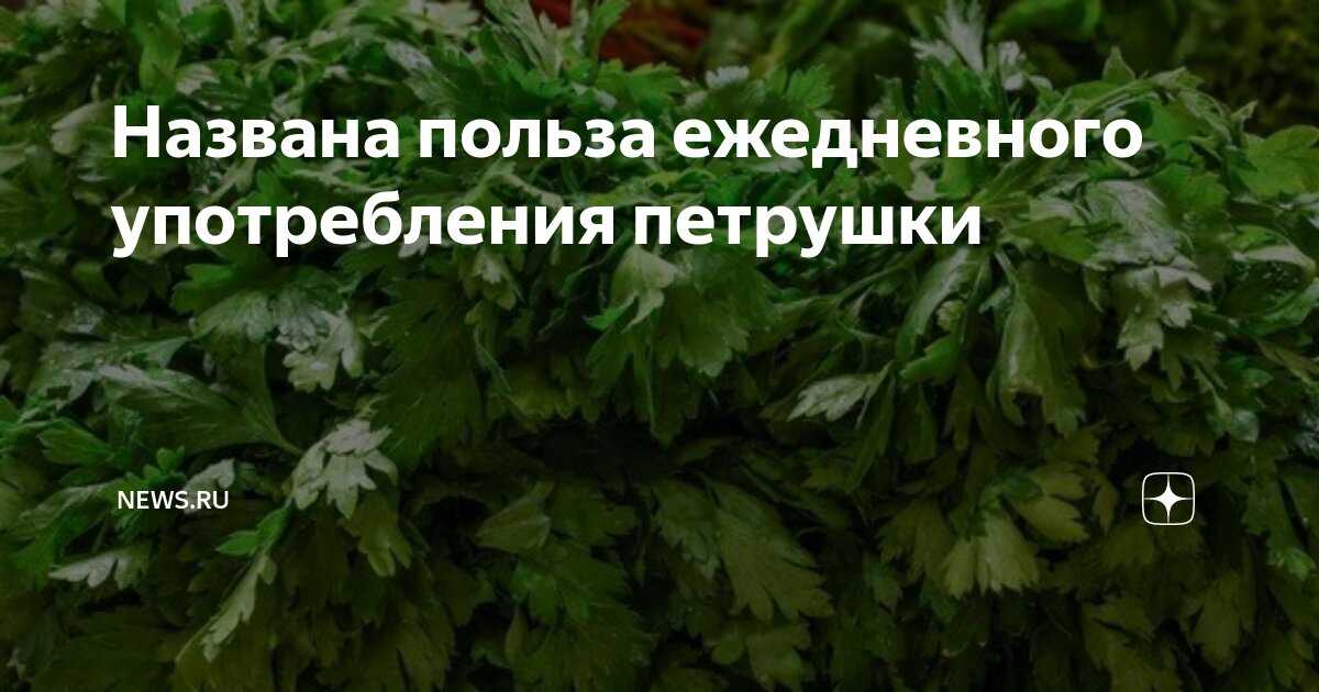 Петрушка для мужчин: состав, польза и вред