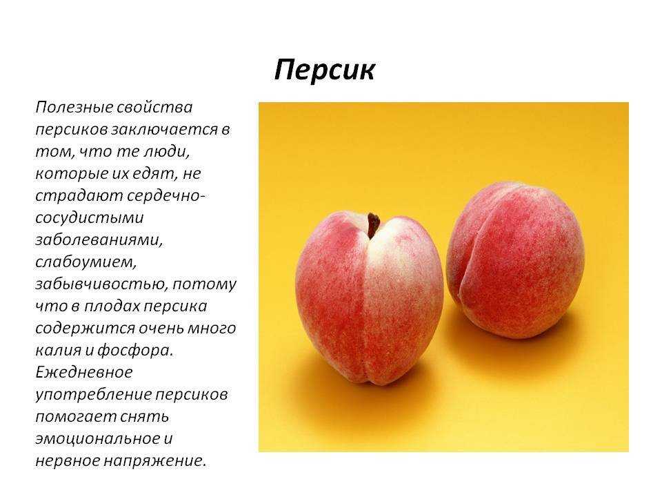 Нектарин: полезные свойства для организма | food and health