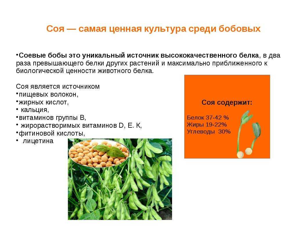 Соевые продукты