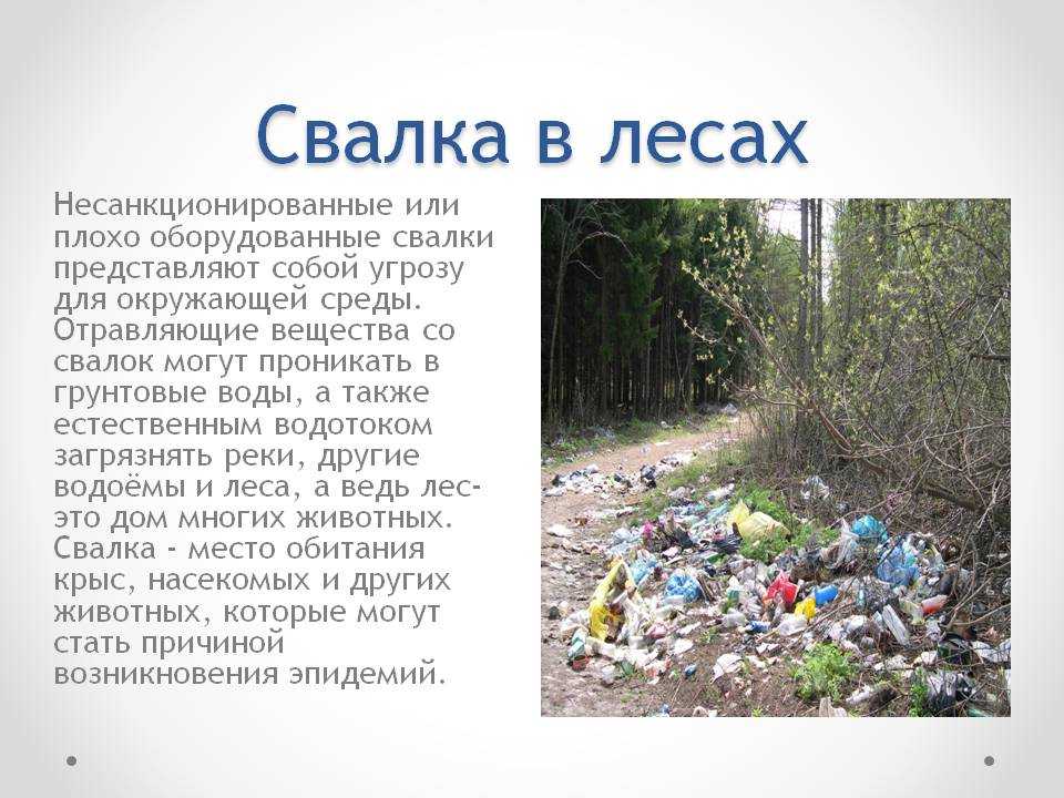 Как владельцы «свалки» планируют заработать 100 миллионов рублей за год на вывозе ненужных вещей - «жажда» - бизнес-журнал