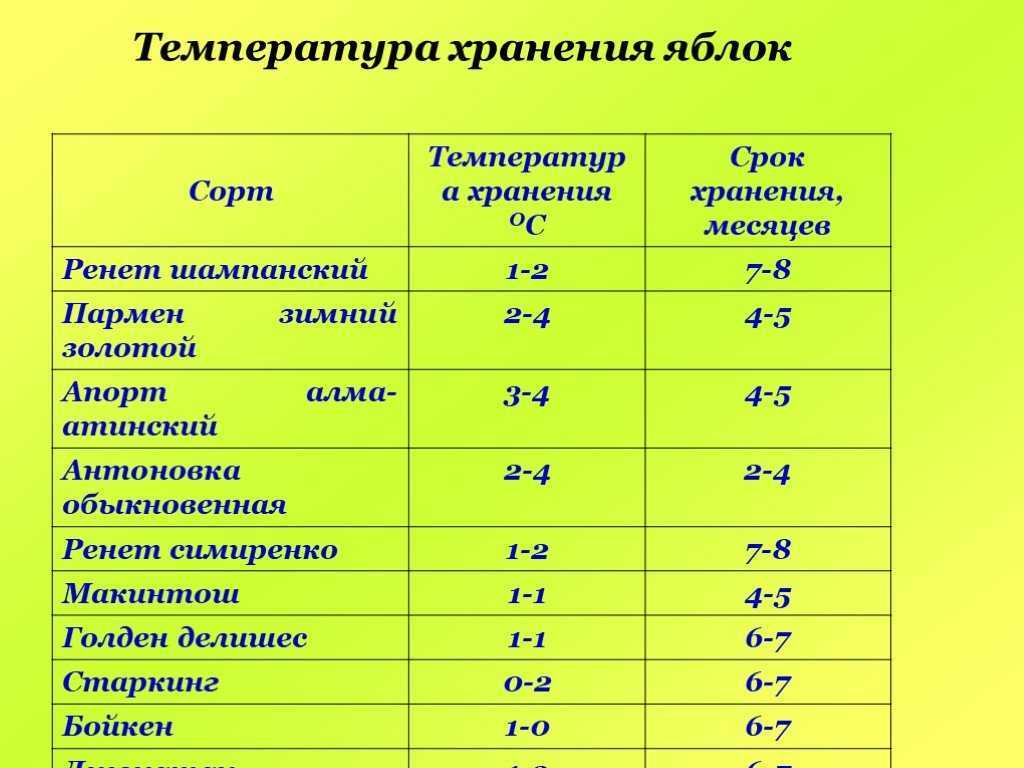 Как правильно хранить картофель?