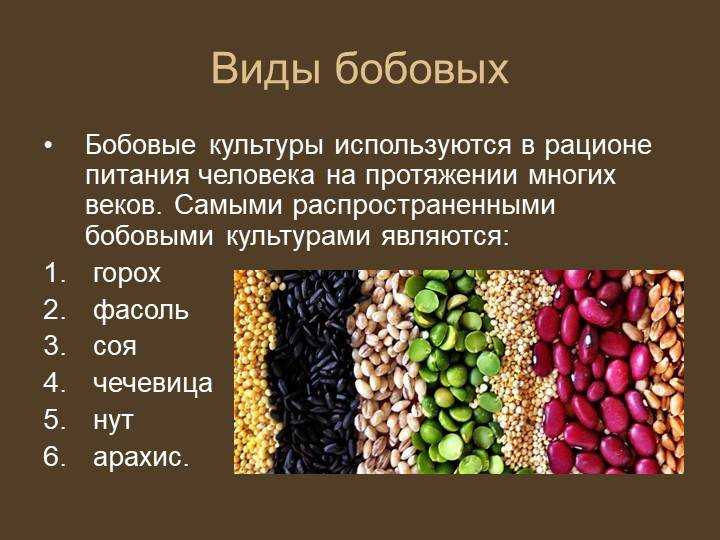 Зернобобовые это какие продукты