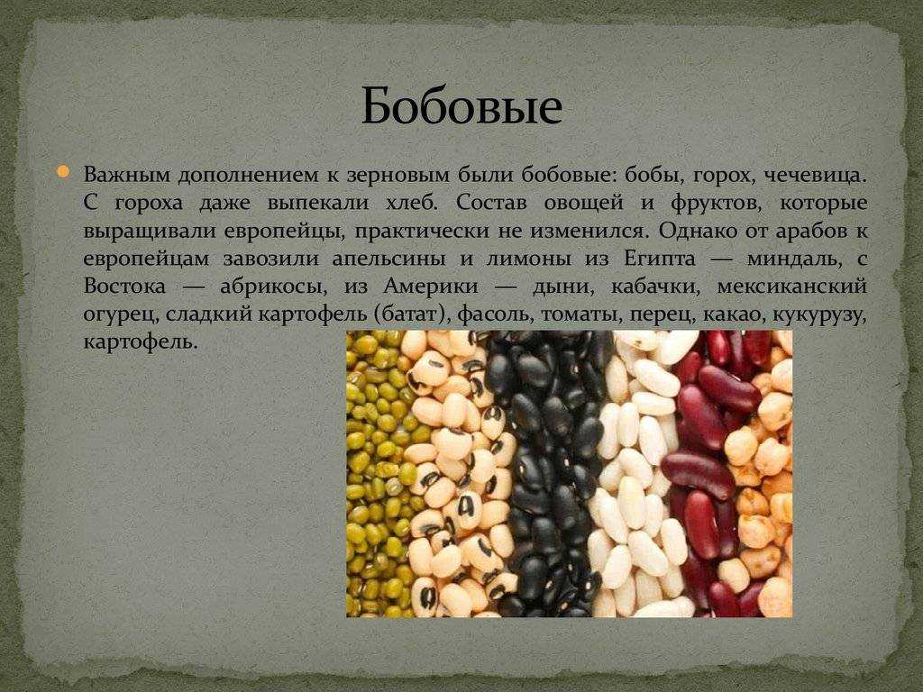 Бобовые продукты: польза и вред + 7 лучших видов (зож)
