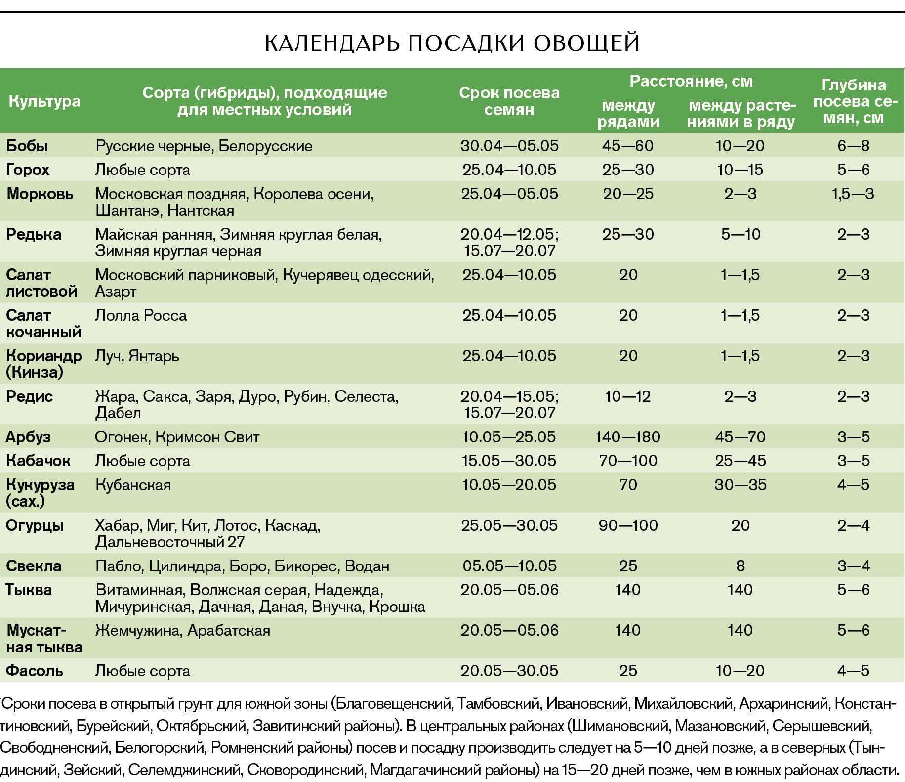 Своя суперэлита всего за год – выращиваем картофель из семян