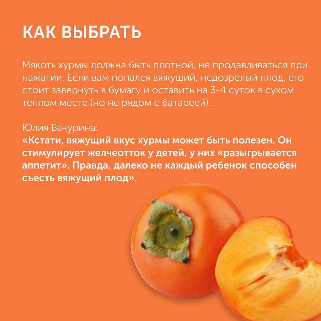 Хурма дикая кавказская фото, описание, выращивание в саду