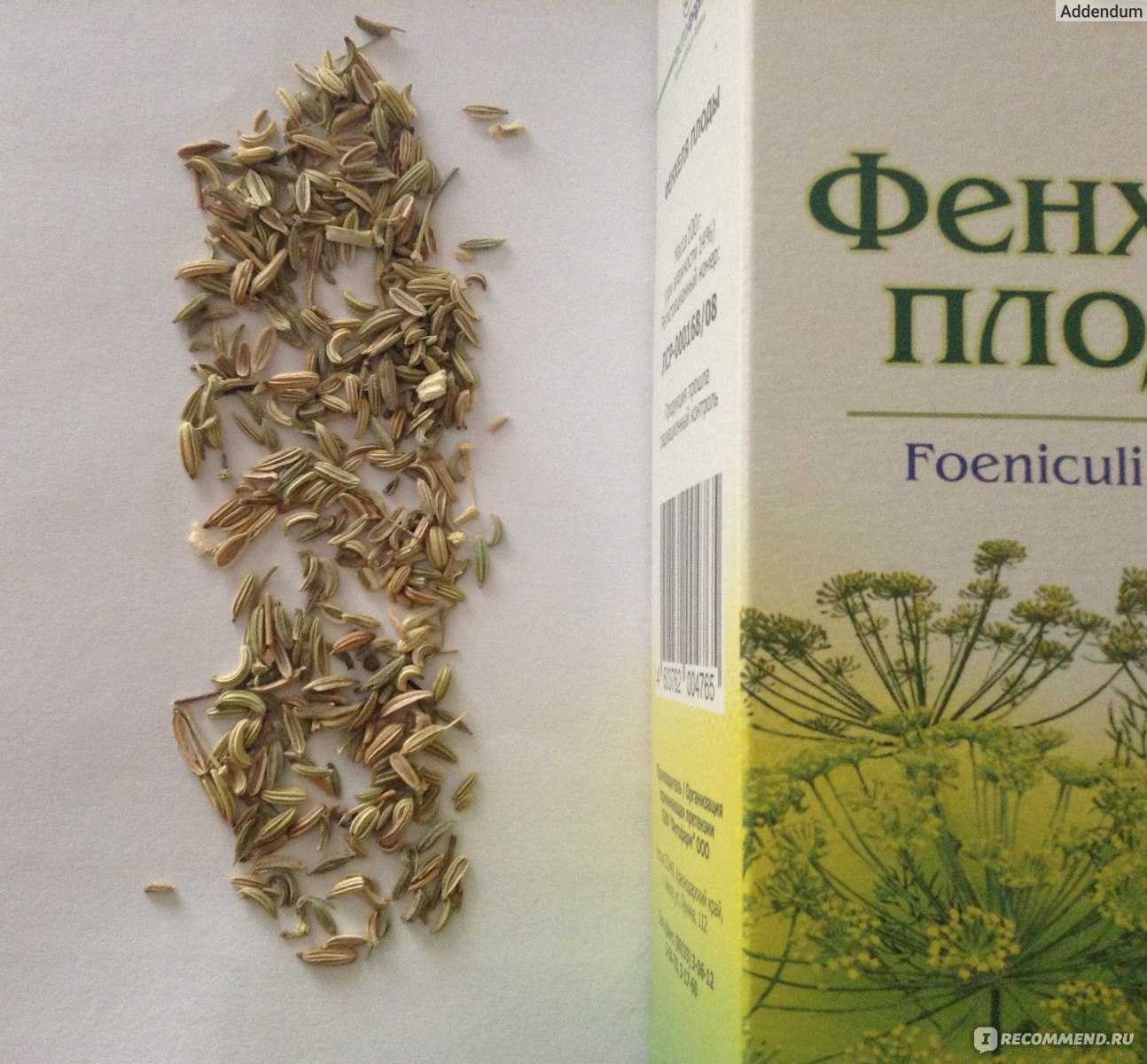 Укроп при беременности | уроки для мам