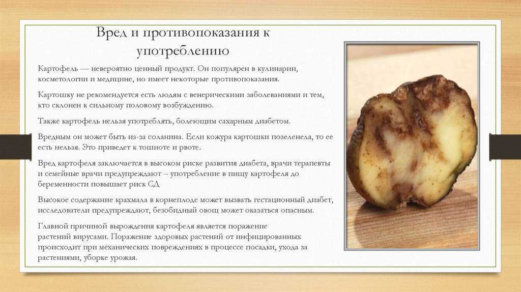 Топинамбур