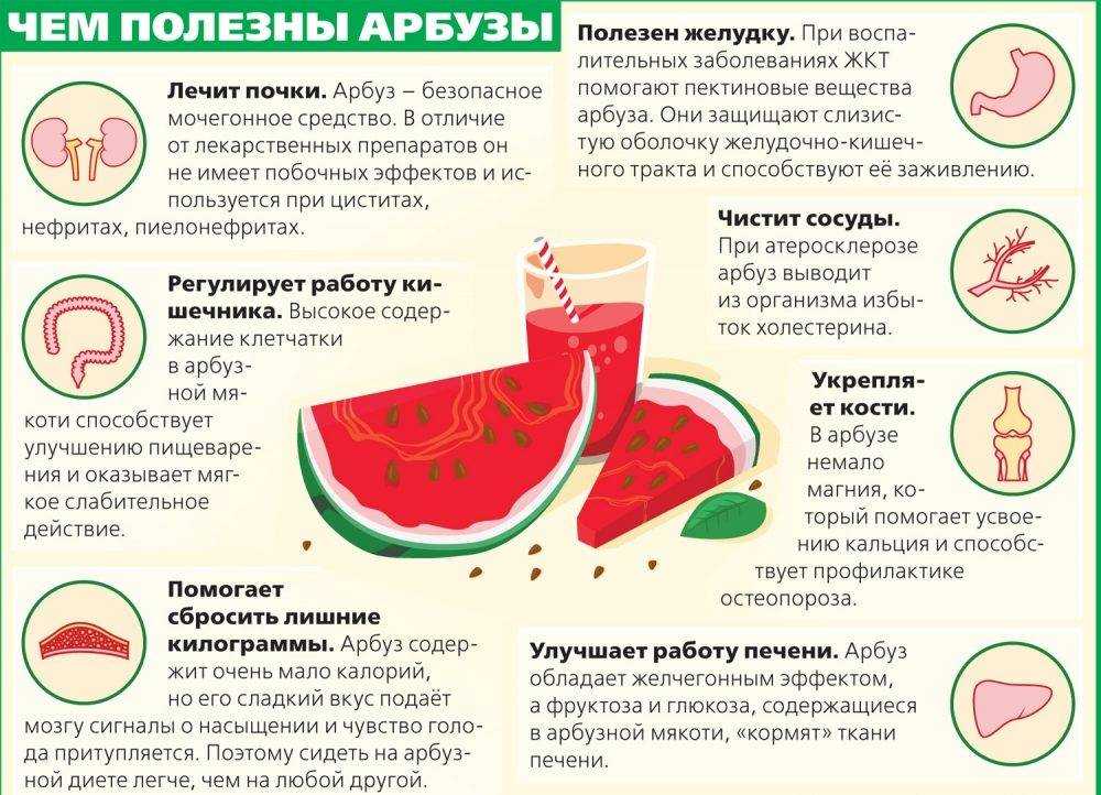 Арбуз - калорийность, полезные свойства, противопоказания и вред