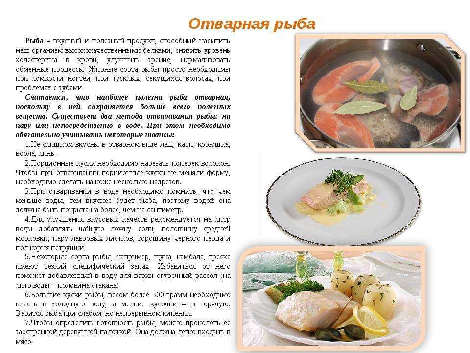 🚩 как варить уху из головы рыбы: раскрываем секреты вкусных блюд