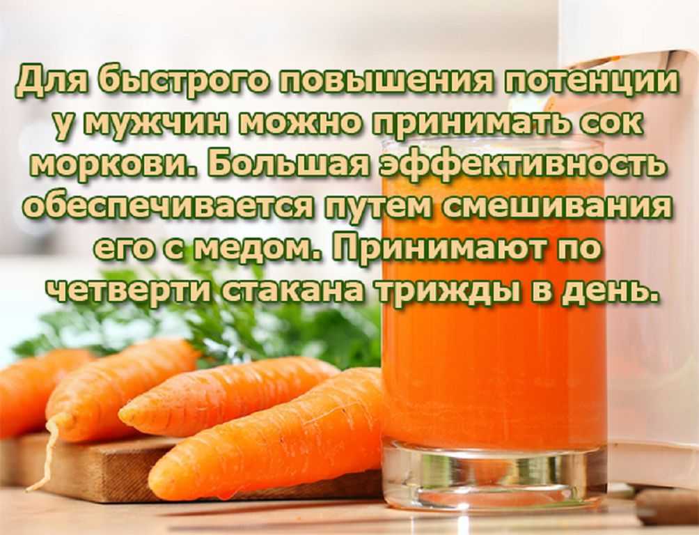 Польза и вред красного лука для здоровья организма - женские тайны