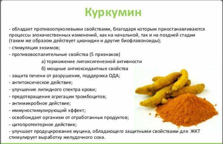 Куркума и карри - одно и то же или нет, чем отличаются специи