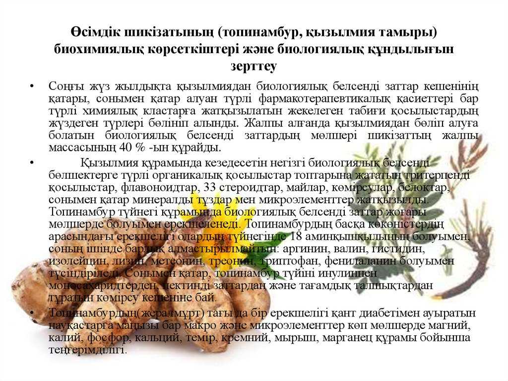 Целебный топинамбур в лечении и питании