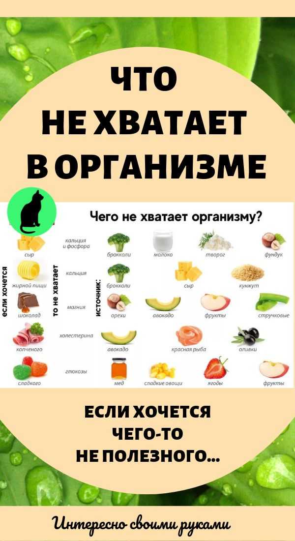 Чего не хватает в организме, если хочется. | здоровое питание