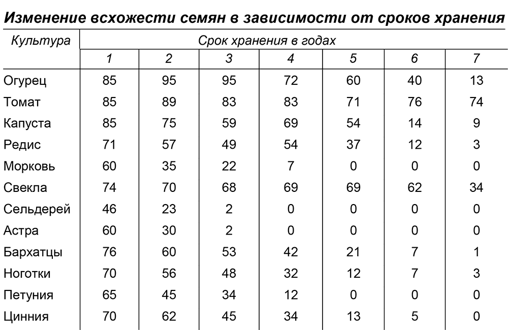 Какие заморозки выдерживают посевы в огороде