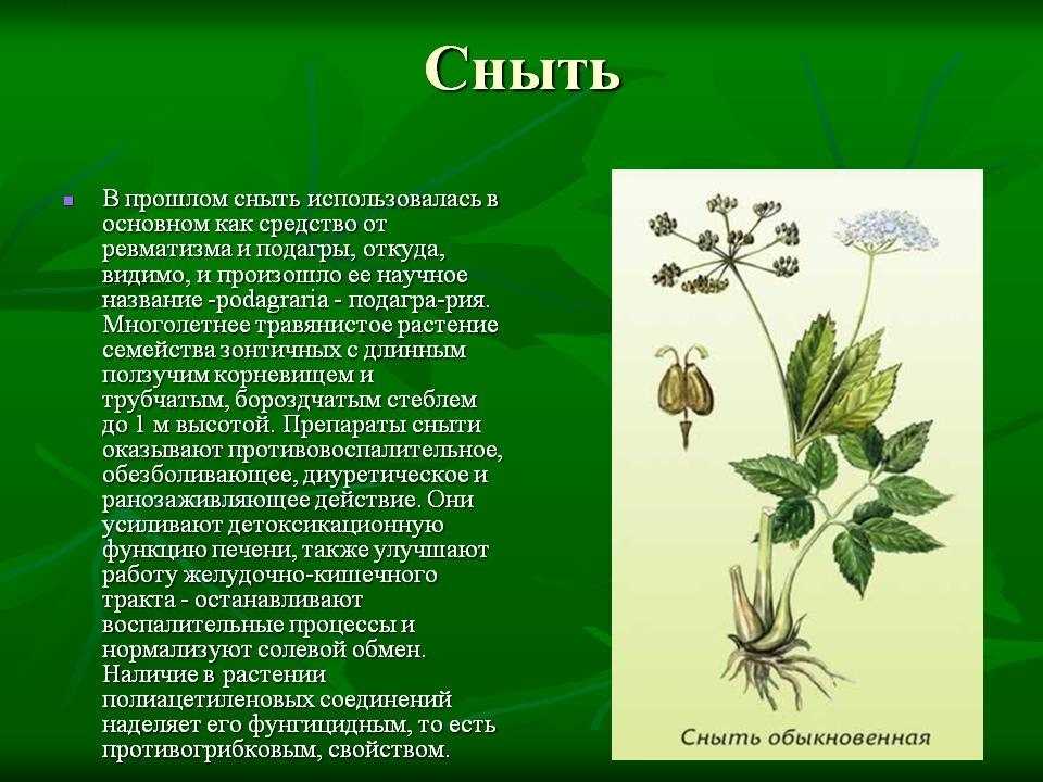 Как приготовить вкусные и полезные блюда из подарков природы?