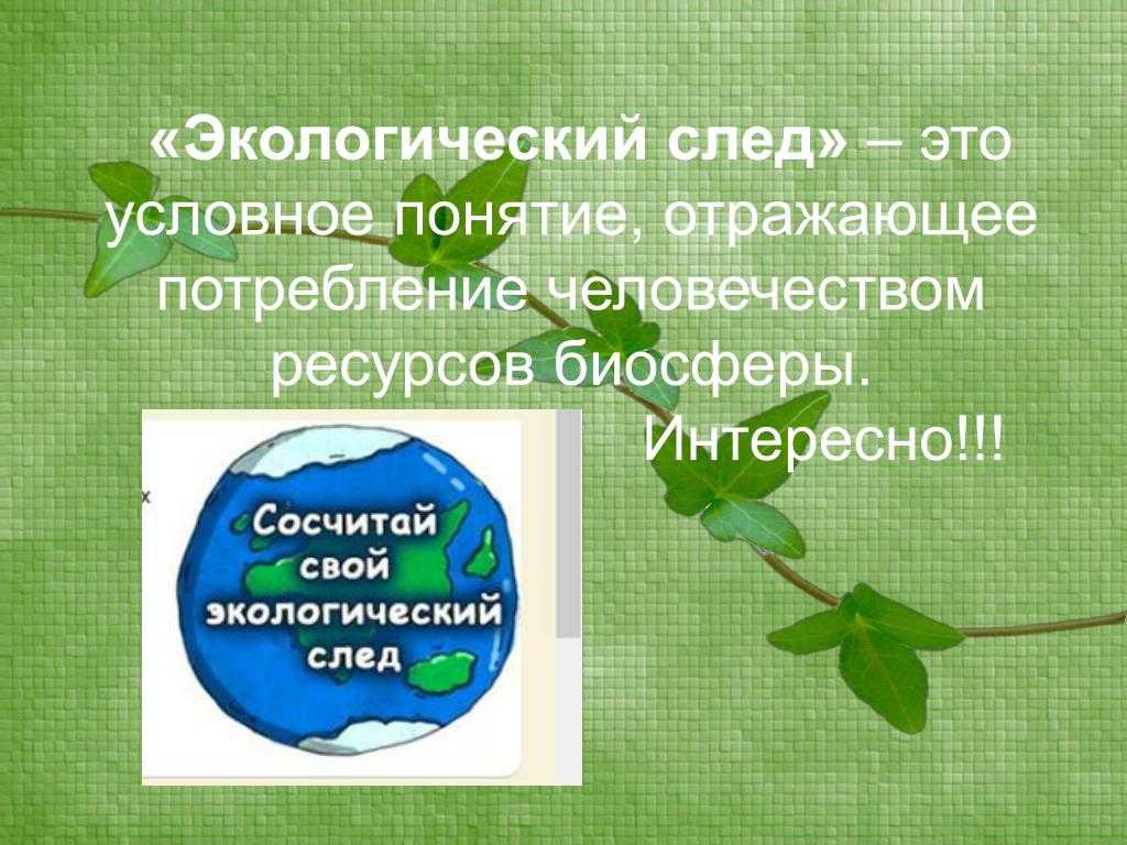Экологический след