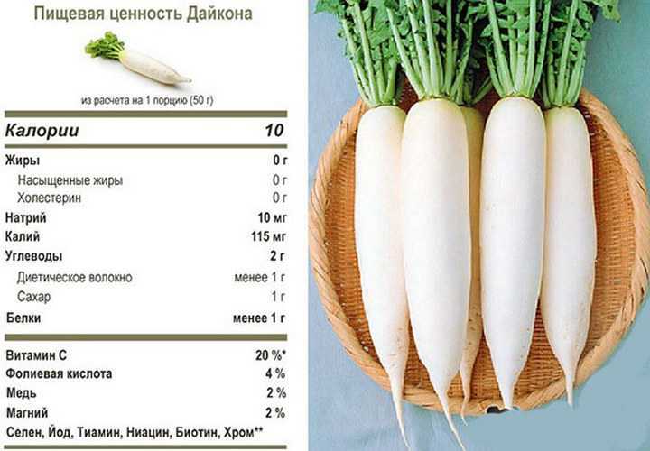 Редька - полезные и опасные свойства редьки