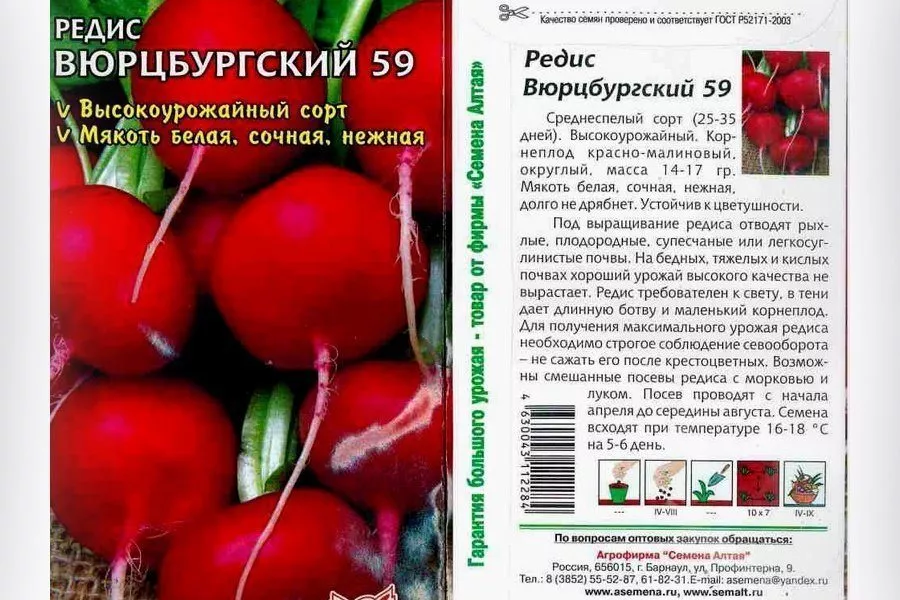 Редис — лучшие сорта семян для открытого грунта и теплиц из поликарбоната