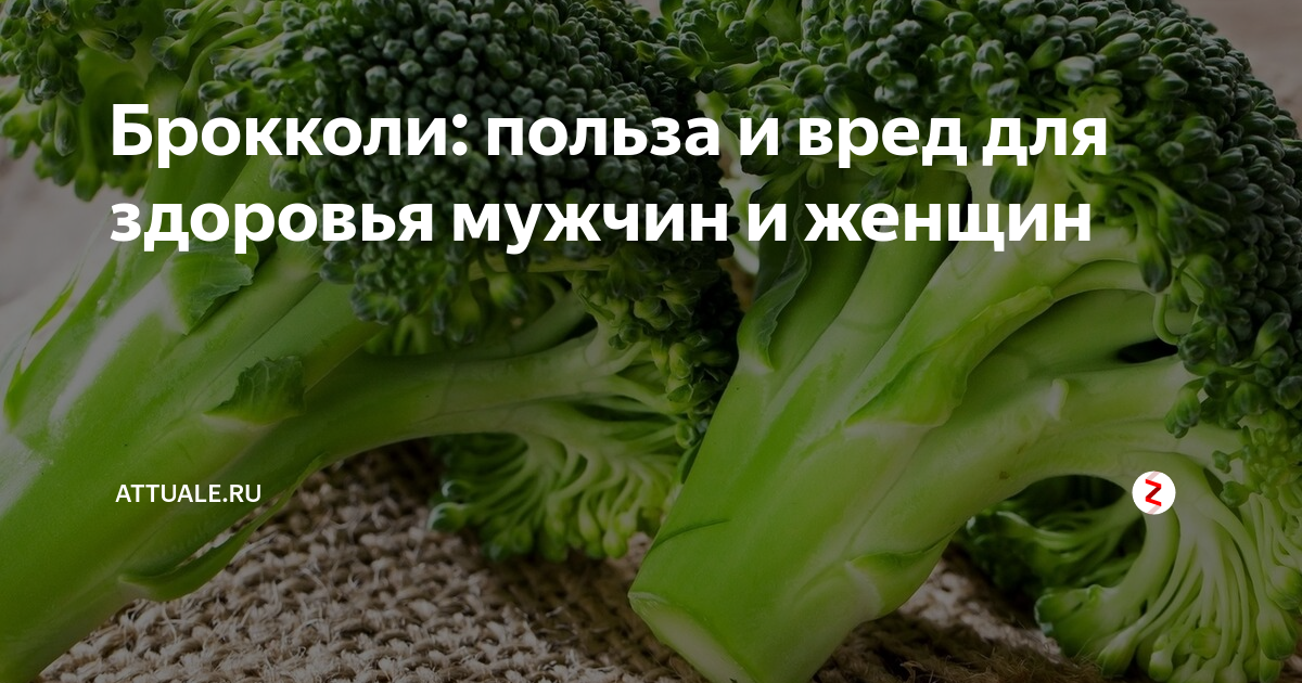Брокколи: вред, польза и калорийность | food and health
