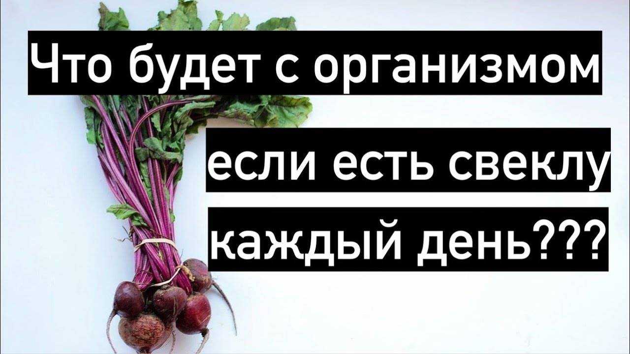 Сырая свекла — польза и вред для здоровья и рецепты приготовления
