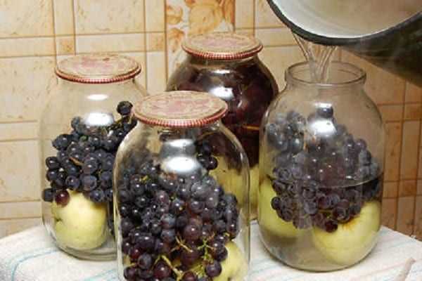 Виноградный компот — 5 фото рецептов вкуснейшего компота из винограда за зиму