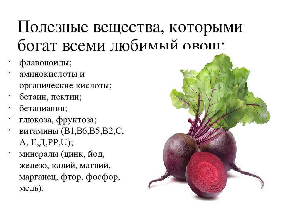 Рецепты из свеклы, 1310 рецептов, фото-рецепты