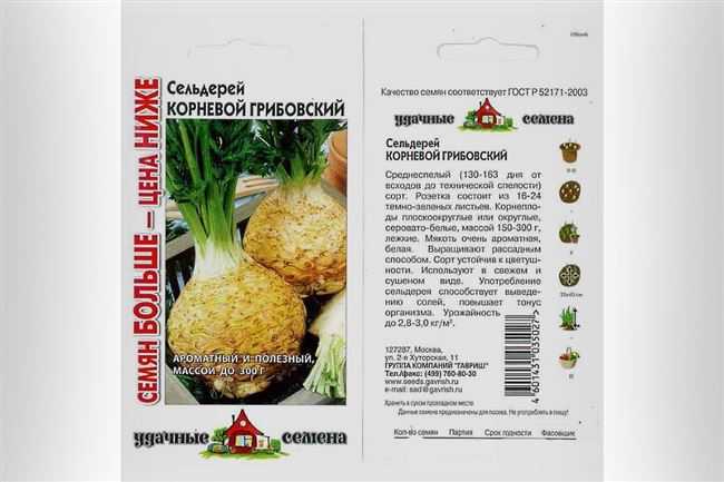 Когда убирать урожай черешкового и корневого сельдерея и как правильно собрать