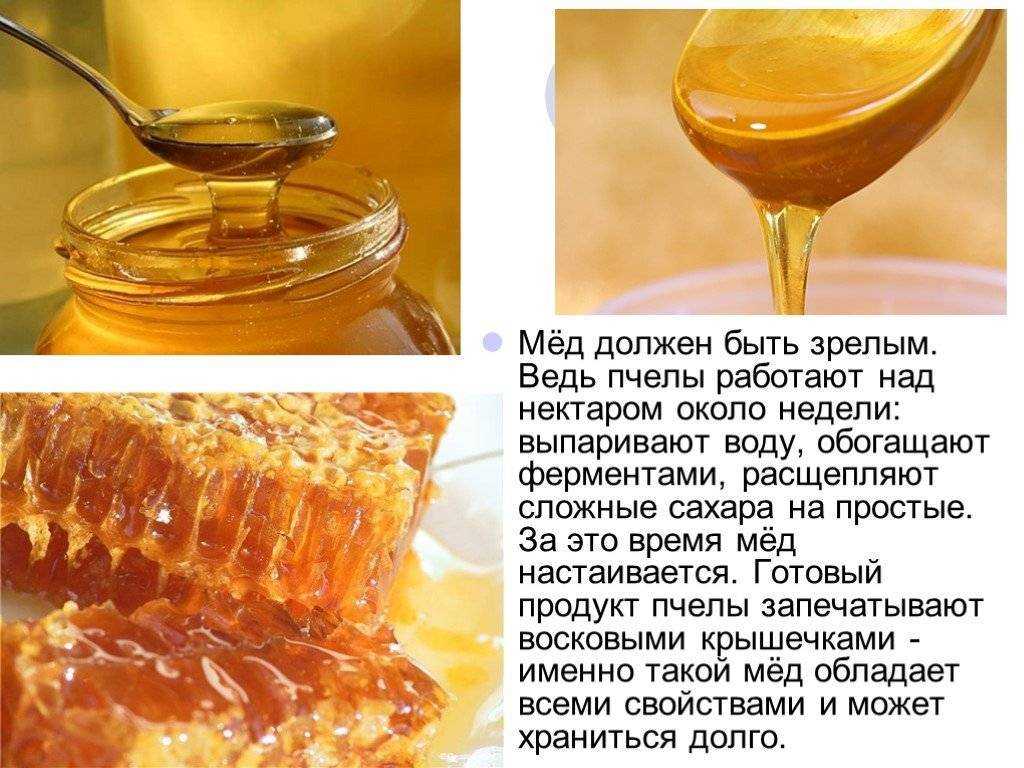 Мед в сотах: можно ли есть воск соты, как едят?
