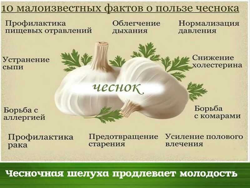 Смесь мед лимон чеснок — рецепт, как принимать, отзывы