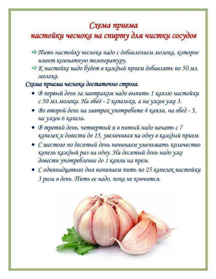 Рецепты с чесноком для похудения