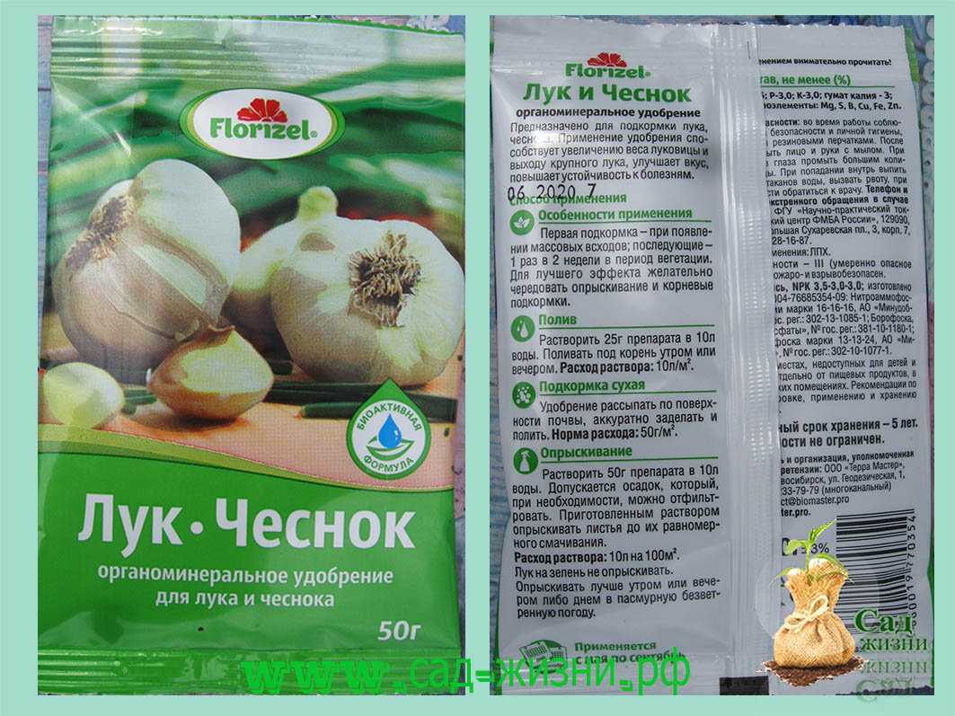Чем удобрить землю осенью под чеснок