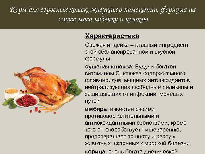 Суп из индейки – 6 рецептов как приготовить вкусный суп
