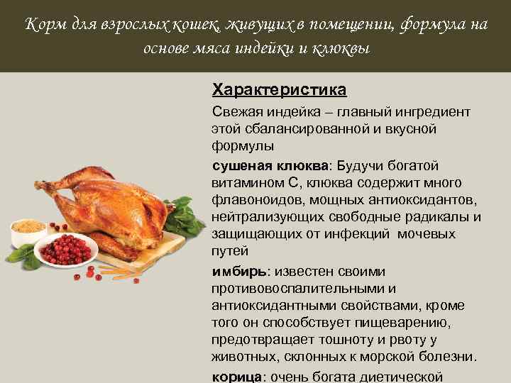 Суп из индейки – 6 рецептов как приготовить вкусный суп