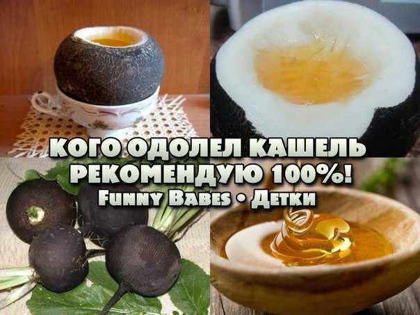 5 способов приготовить редьку с медом от кашля: эффективные рецепты для детей и взрослых