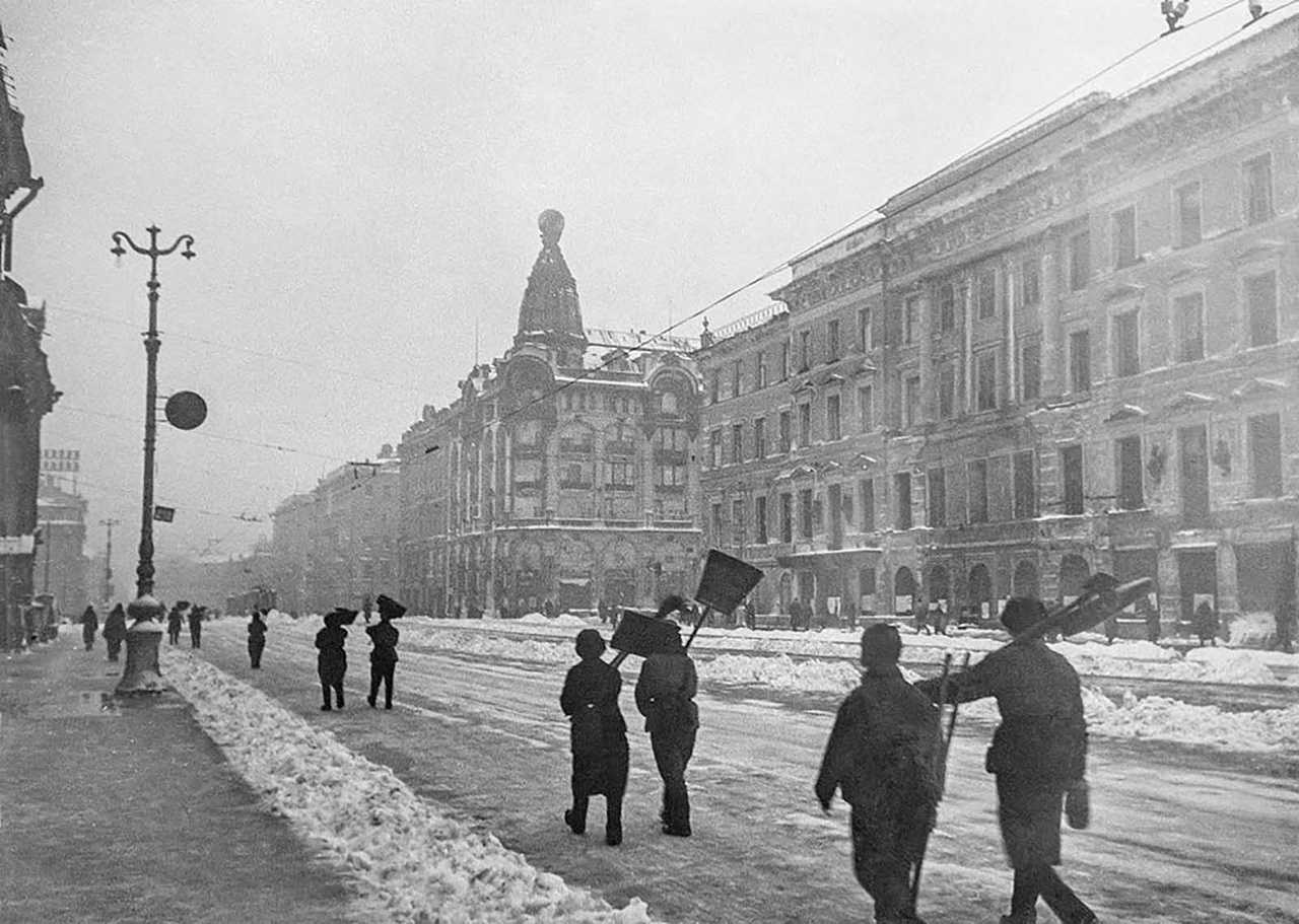 Вопреки войнам и блокаде: жизнь ботанического сада петра великого
