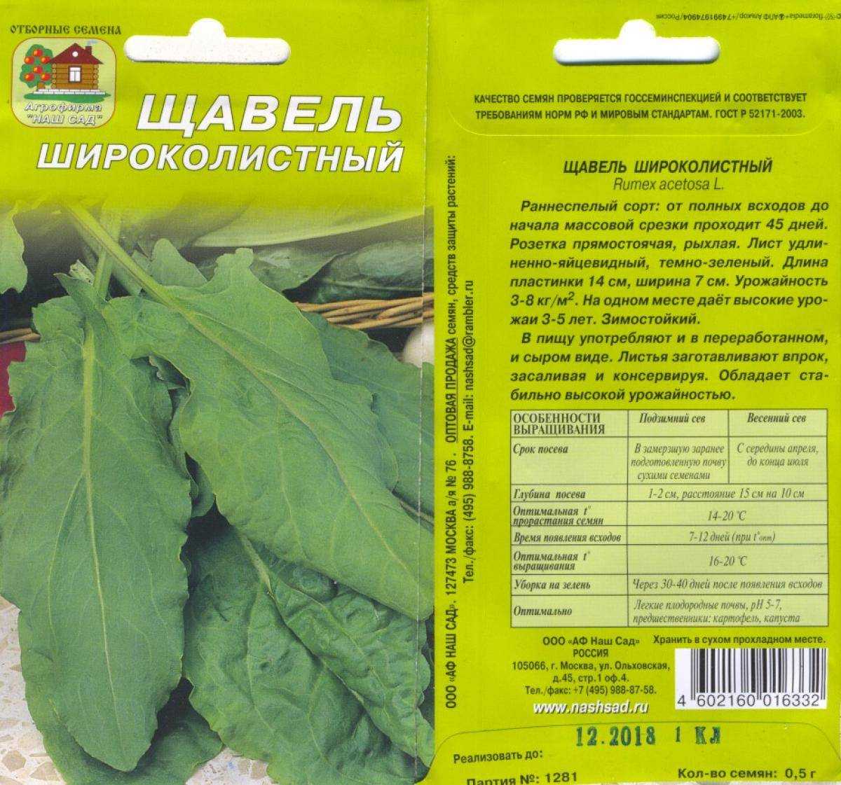 Щавель: лечебные свойства и противопоказания | food and health