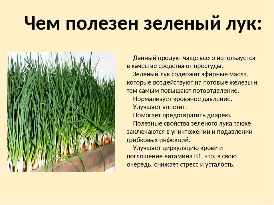 Какие фрукты можно и нельзя употреблять во время беременности?