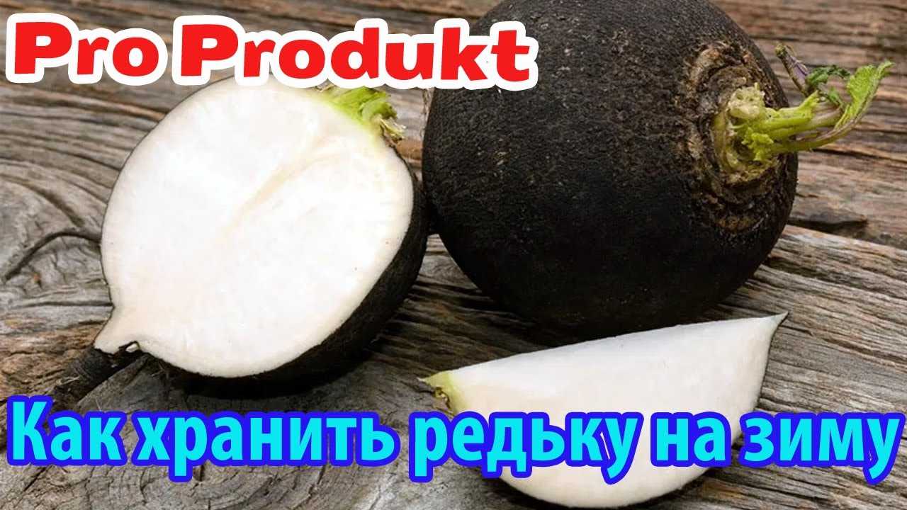 Как хранить черную редьку зимой – полезные советы